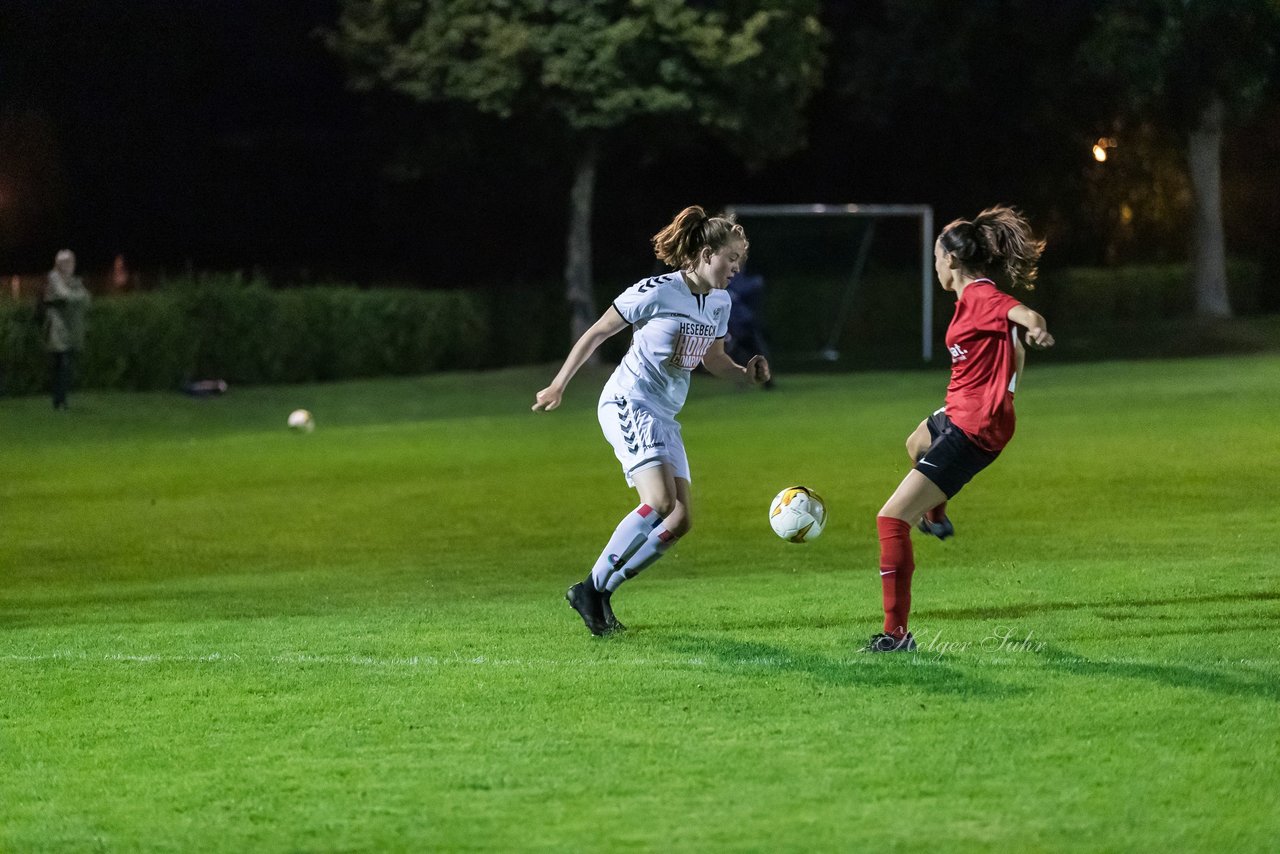 Bild 113 - Frauen SV Henstedt Ulzburg - Wellingsbuettel : Ergebnis: 11:1